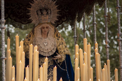 Viernes-Santo-2023-131