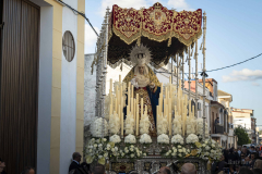 Viernes-Santo-2025.-Hermandad-de-los-Dolores-de-Alcolea-122